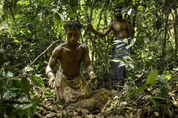 UNESCO gìn giữ sự sống và di sản