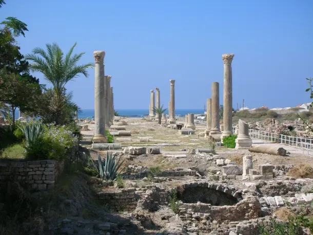 UNESCO bổ sung 6 di sản vào Danh sách Di sản Thế giới bị đe dọa